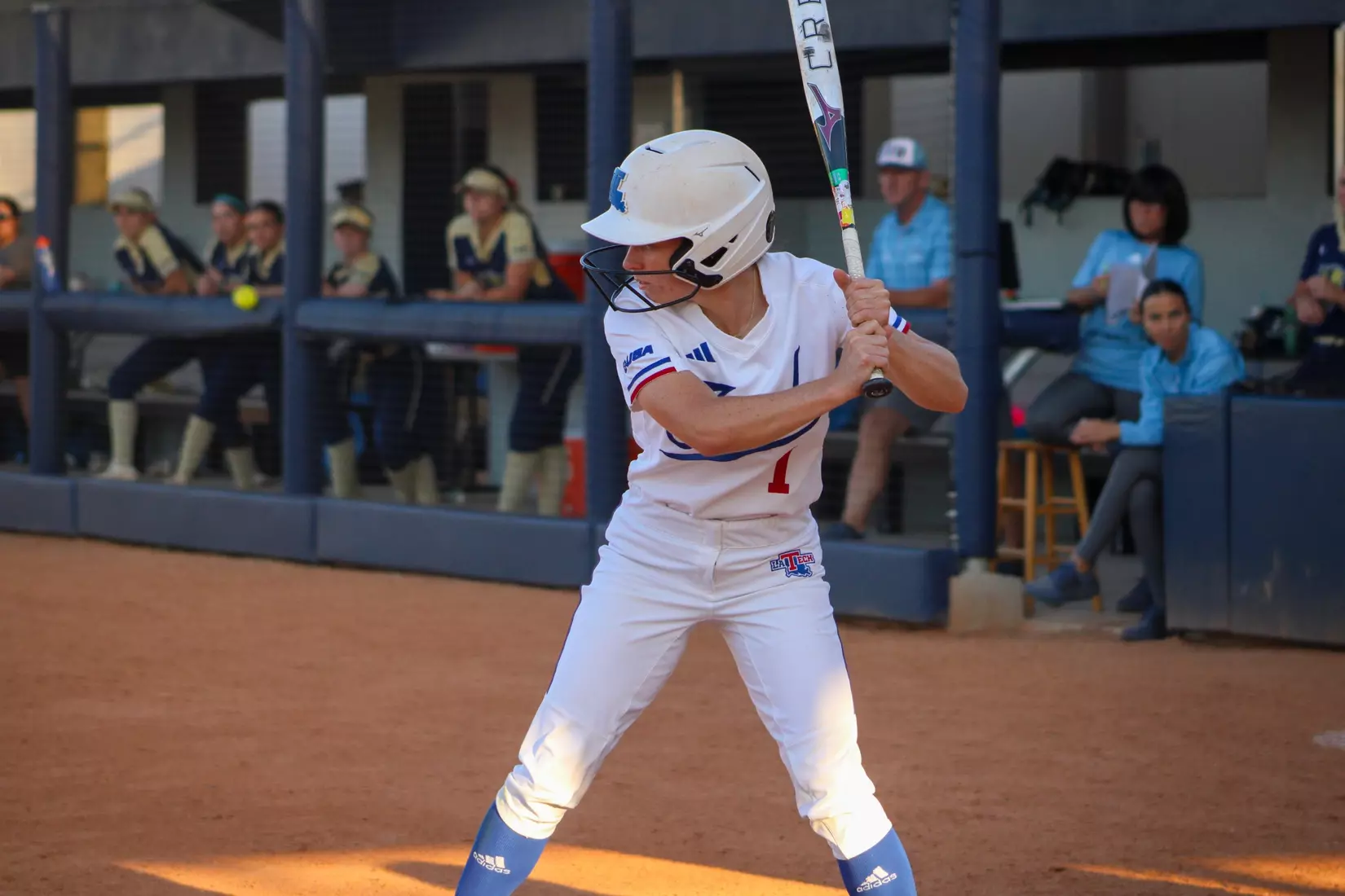 Bulldogs Fall to Panthers in Game Two of Series.