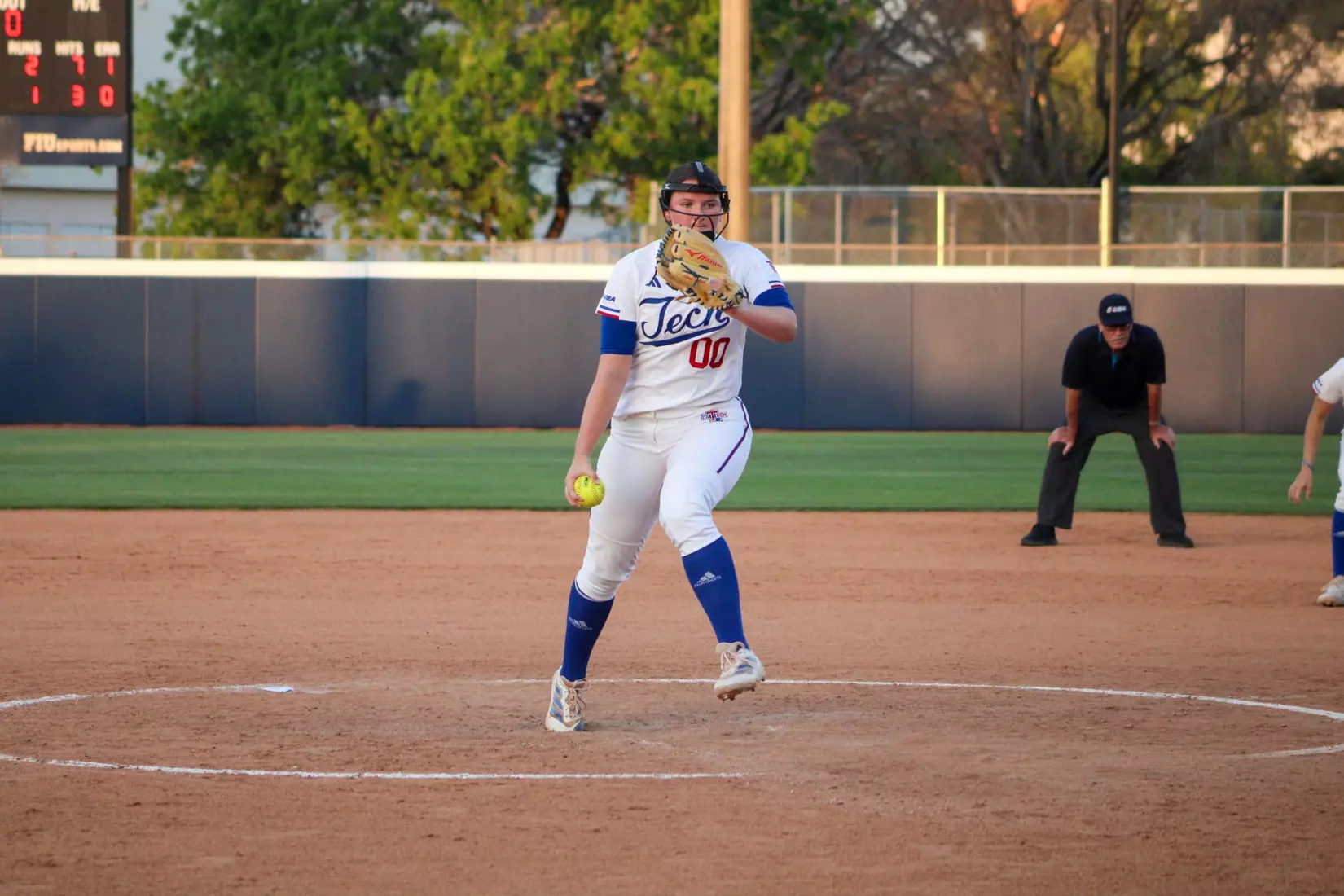 Bulldogs Fall to Panthers in Game Two of Series.