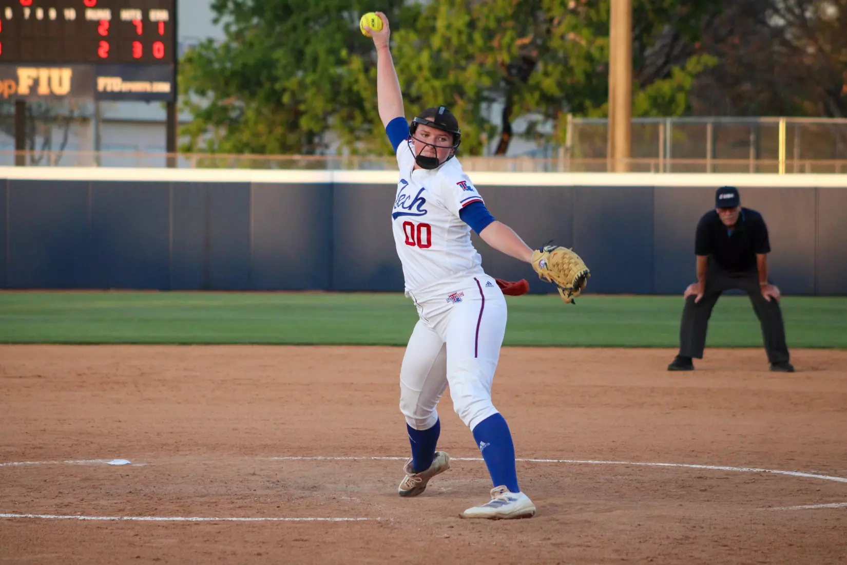 Bulldogs Fall to Panthers in Game Two of Series.