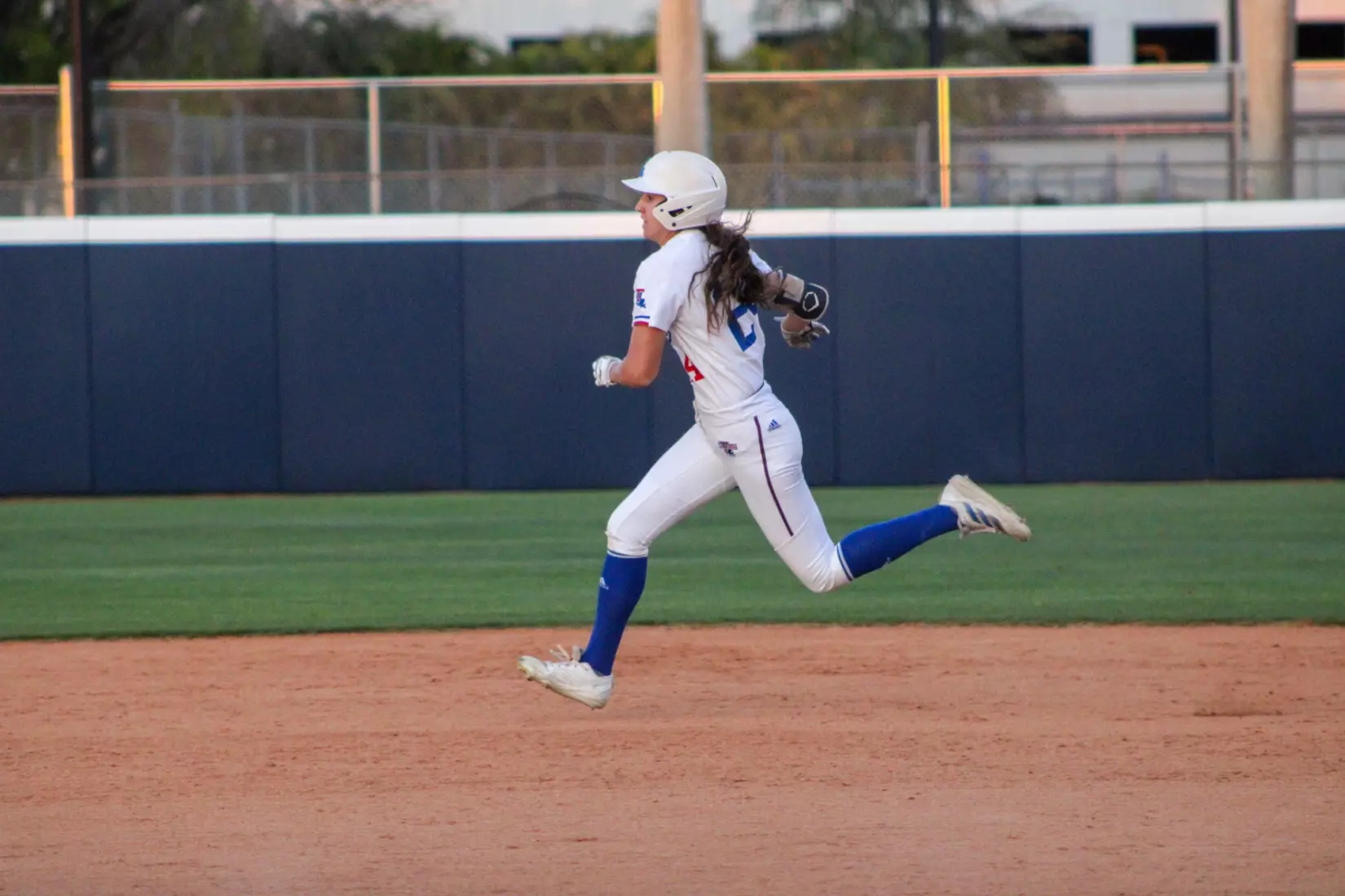 Bulldogs Fall to Panthers in Game Two of Series.