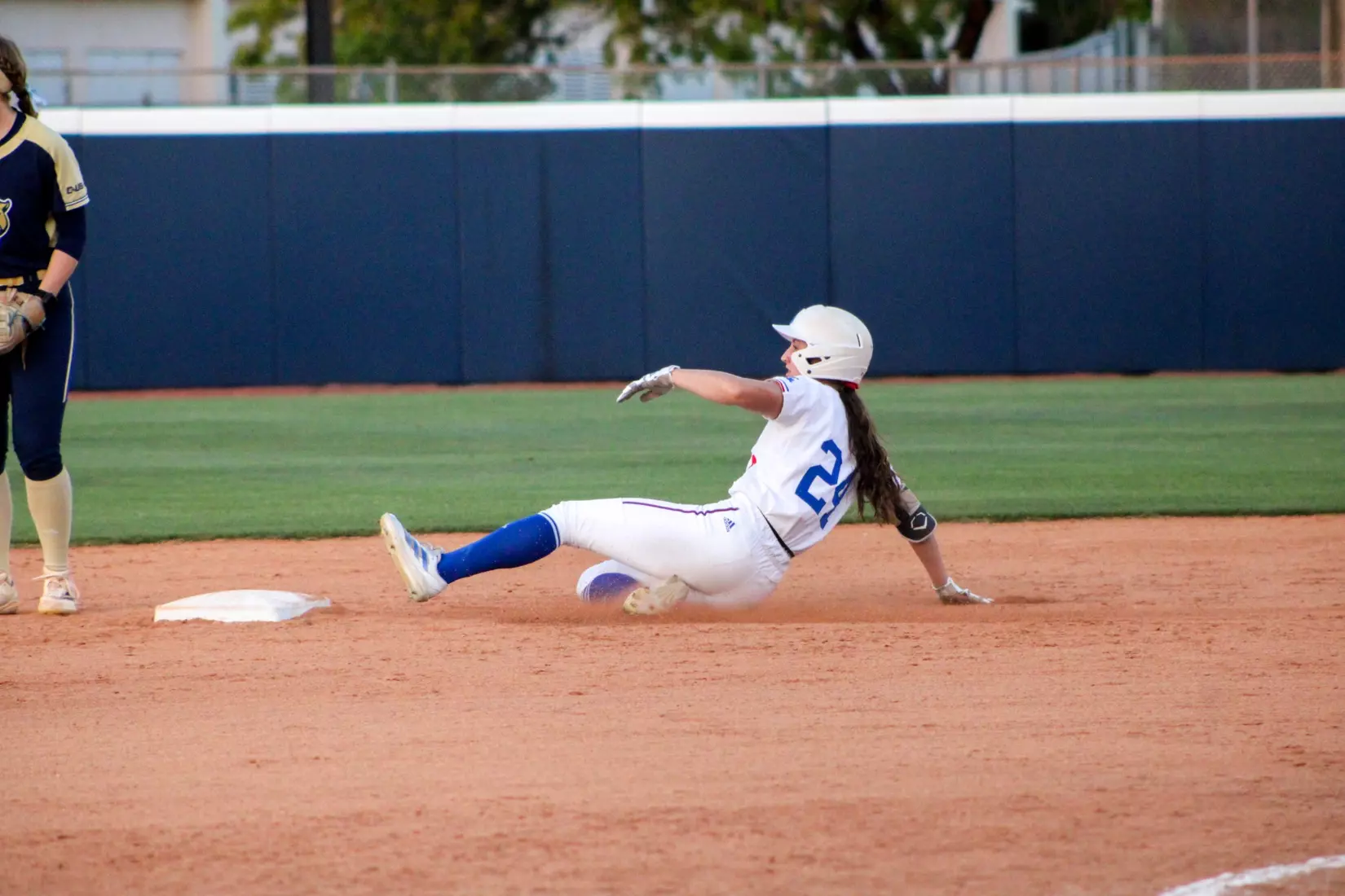 Bulldogs Fall to Panthers in Game Two of Series.