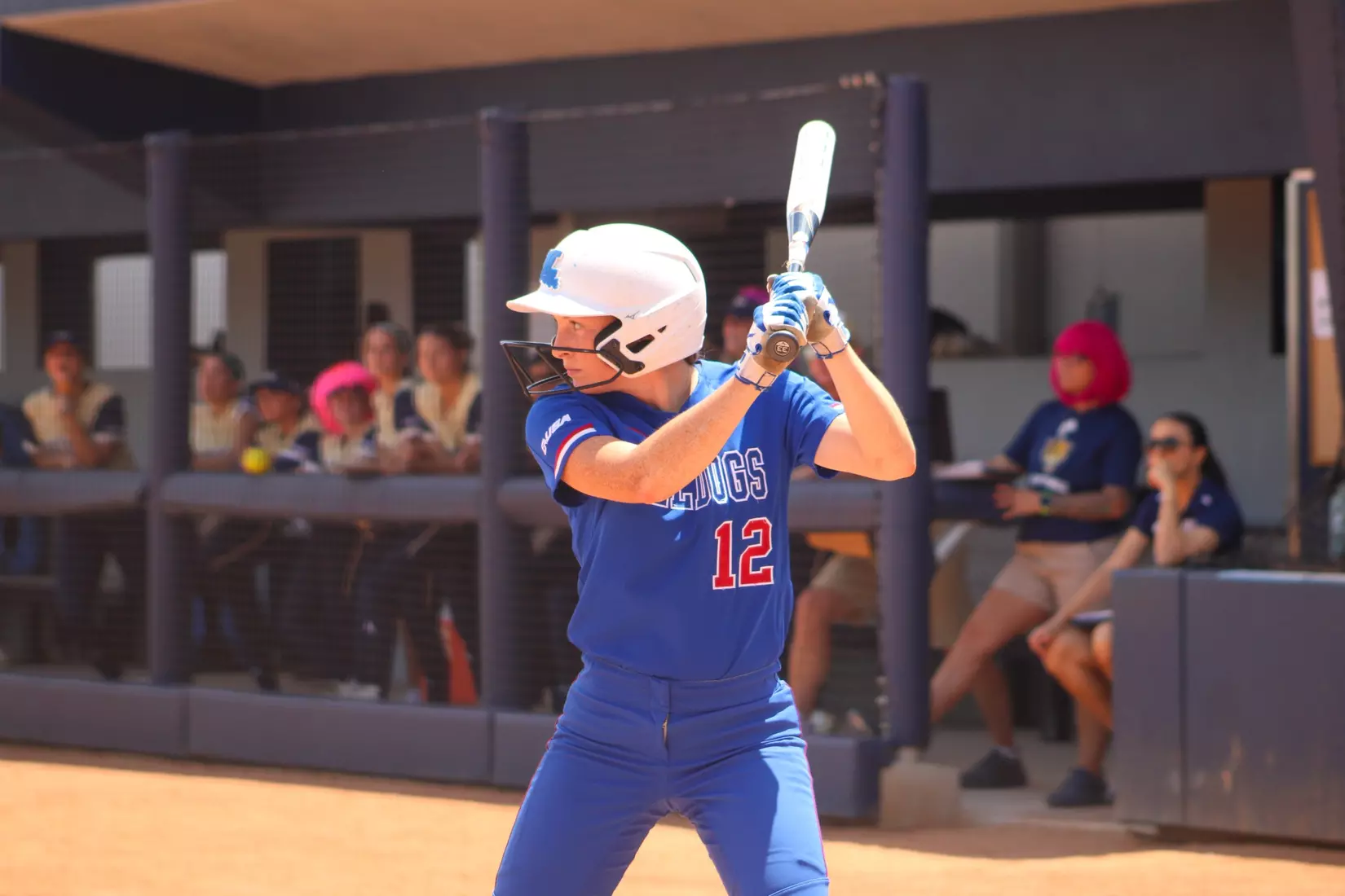 Bulldogs defeat Panthers 5-4 in series finale.