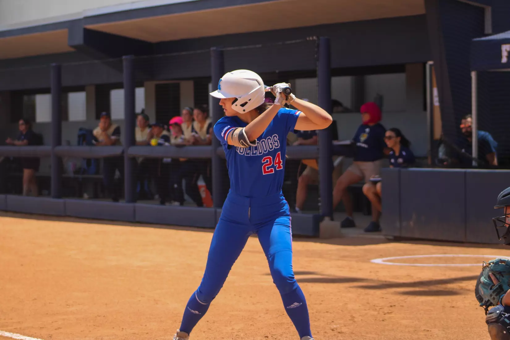 Bulldogs defeat Panthers 5-4 in series finale.
