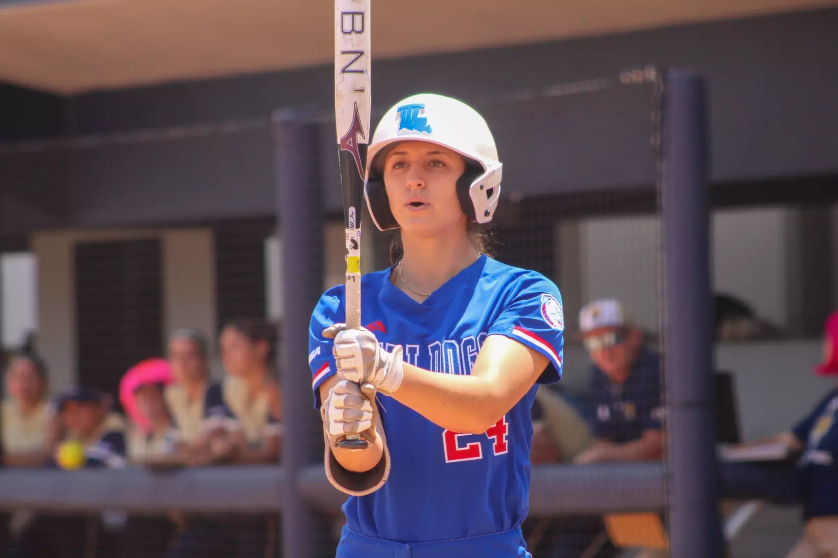 Bulldogs defeat Panthers 5-4 in series finale.