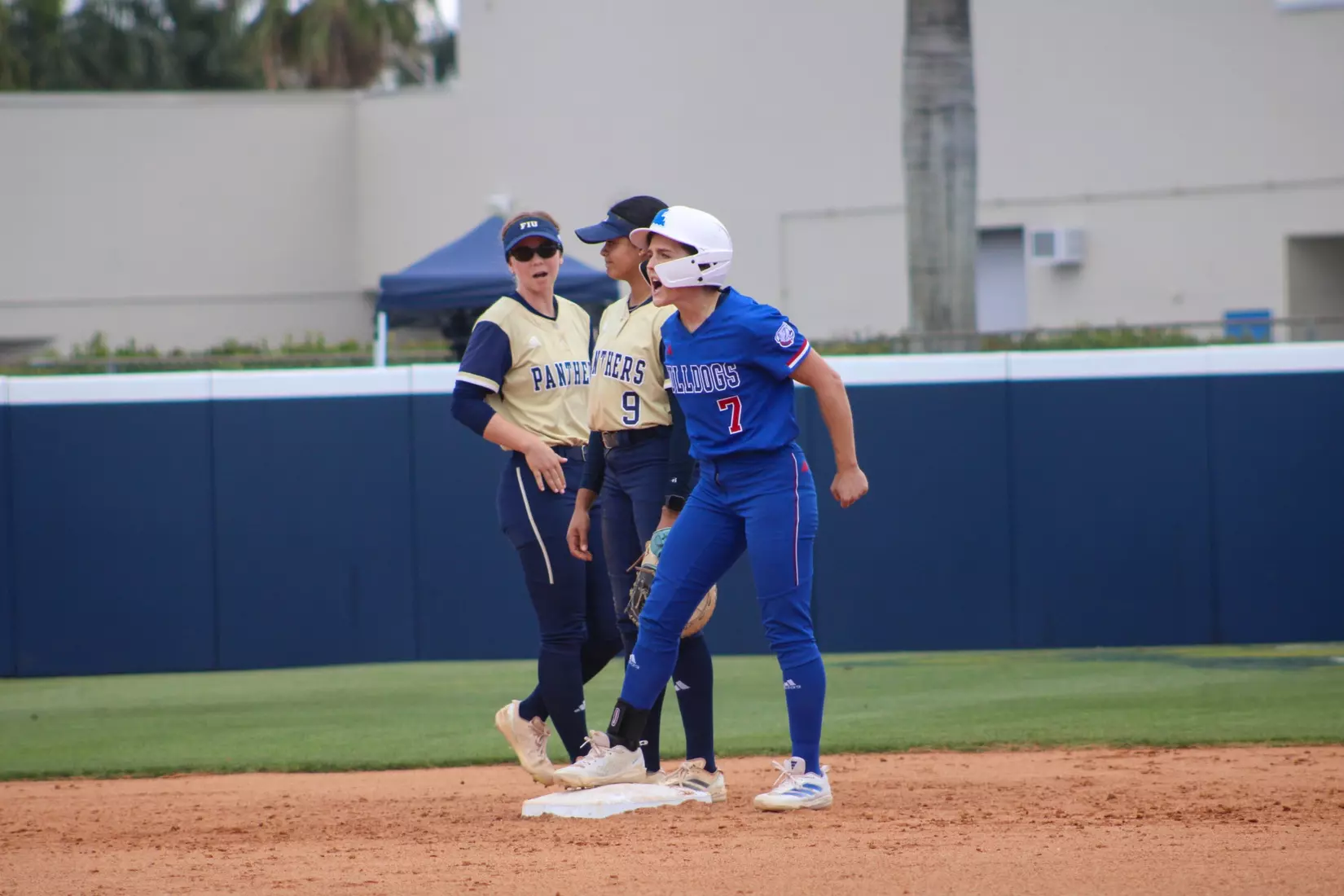 Bulldogs defeat Panthers 5-4 in series finale.