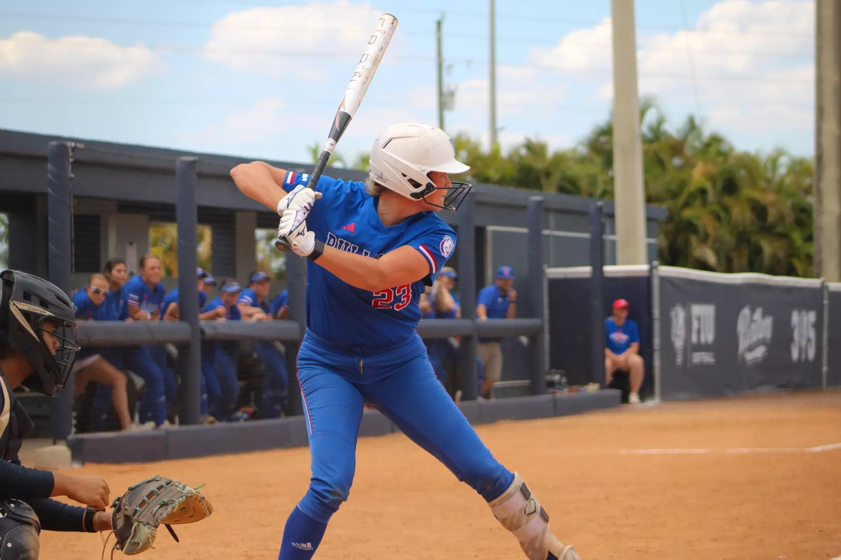 Bulldogs defeat Panthers 5-4 in series finale.