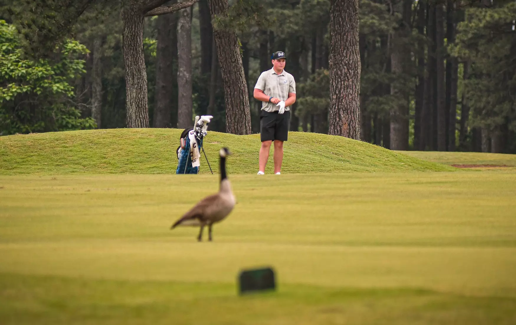 Round 3 of the 2025 Conference USA Men's Golf Championship in Texarkana, Arkansas