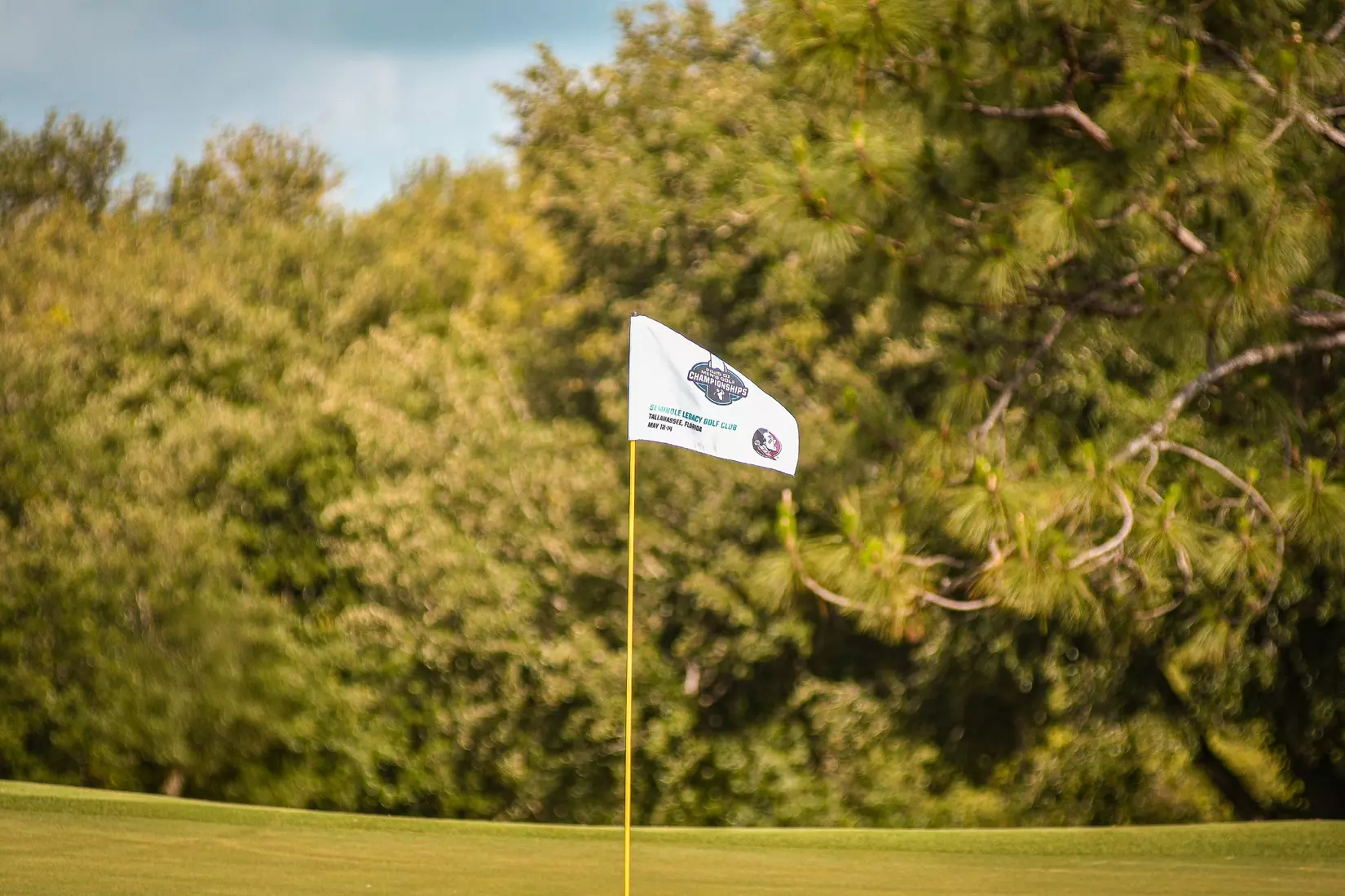 Niilo Maki-Petaja shot 72 (E) in Round 1 of the NCAA Tallahassee Regional