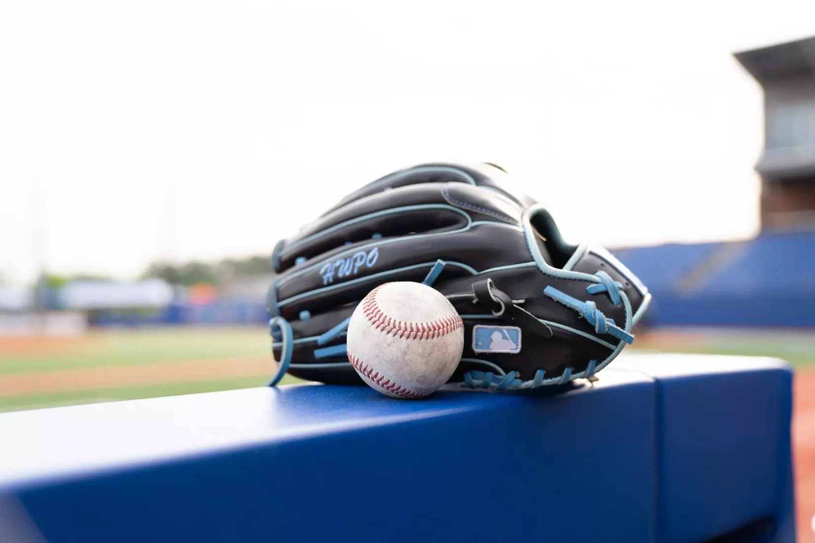 Sebastian Mexico's two-homer day lifts Bulldogs past Golden Lions, 11-6