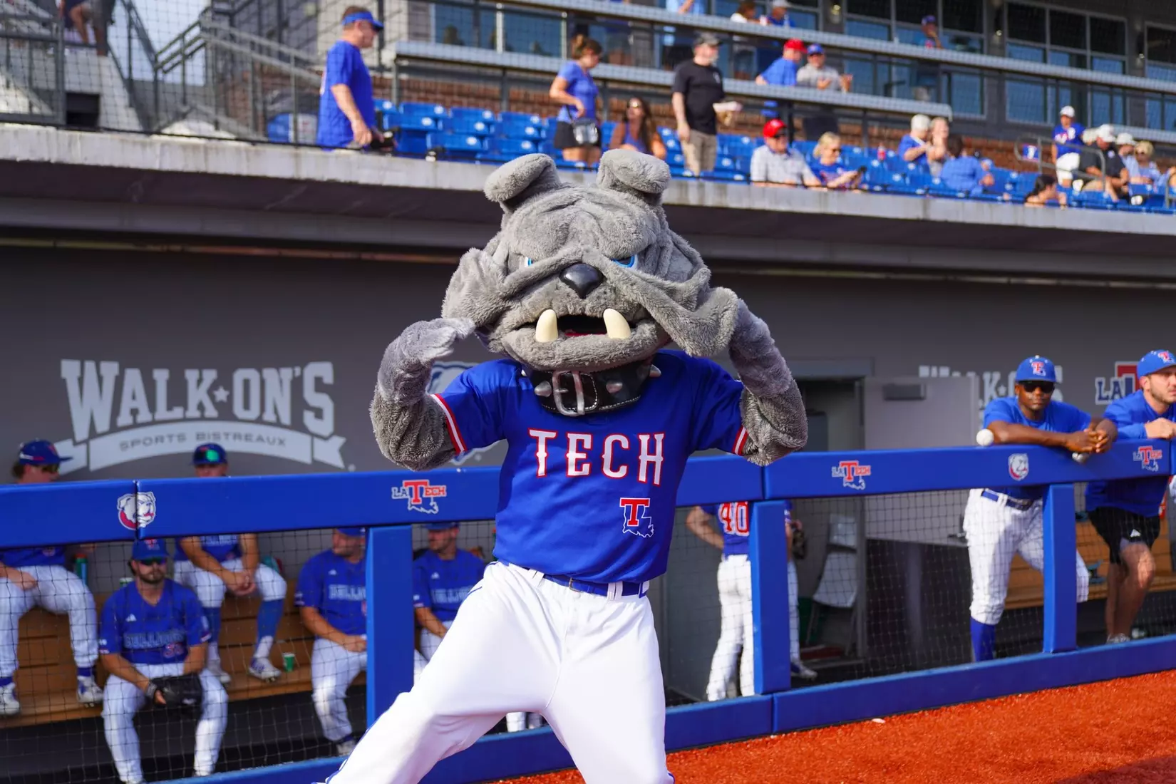 Late rally falls short for Bulldogs in 10-5 loss to Aggies to force rubber match