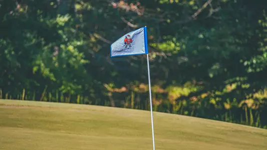LA Tech golf flag