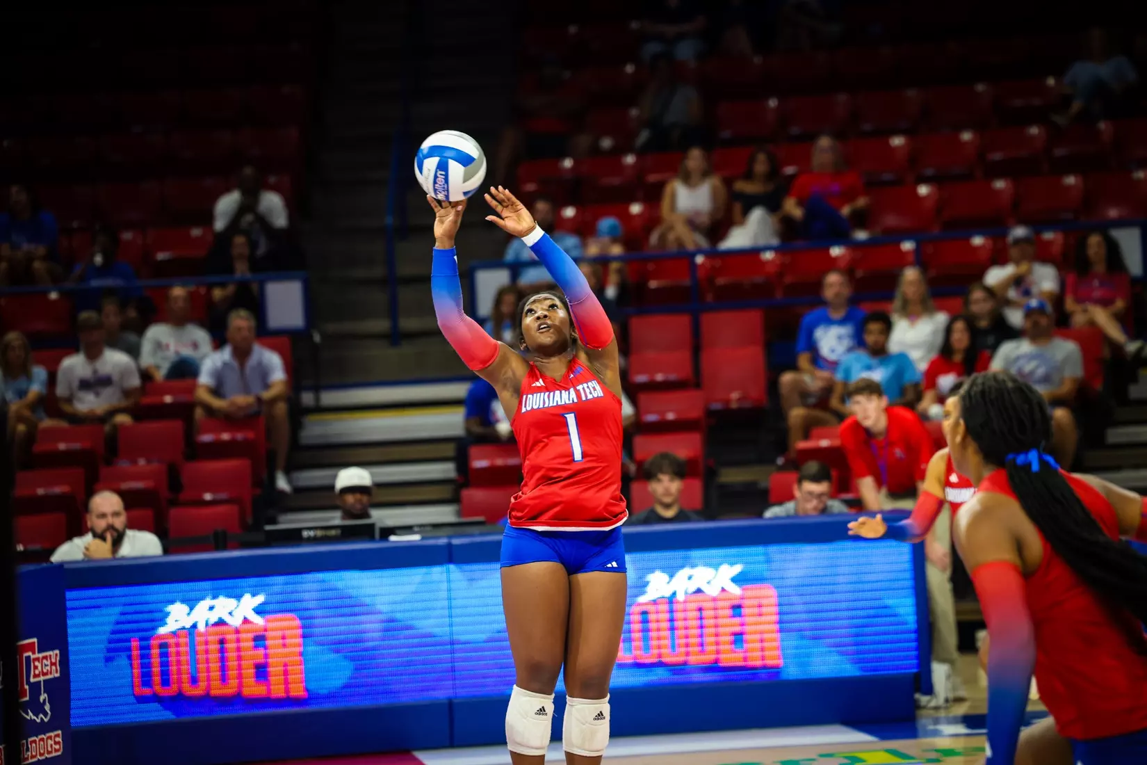 Bulldogs fall in four tight sets to Huskies