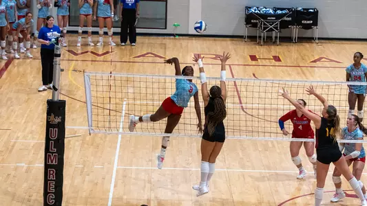 vb