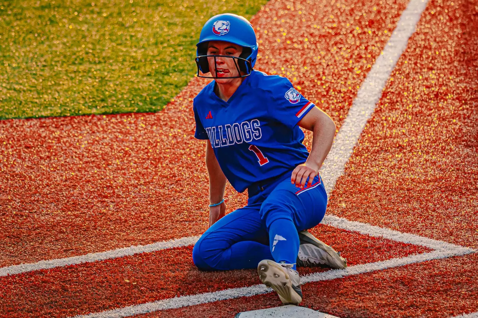 Bulldogs defeat Bears 9-5 to open series.