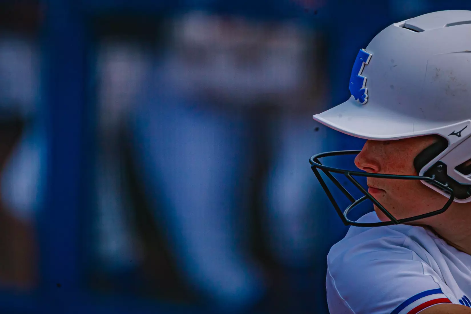 Bulldogs drop series finale to Bears.