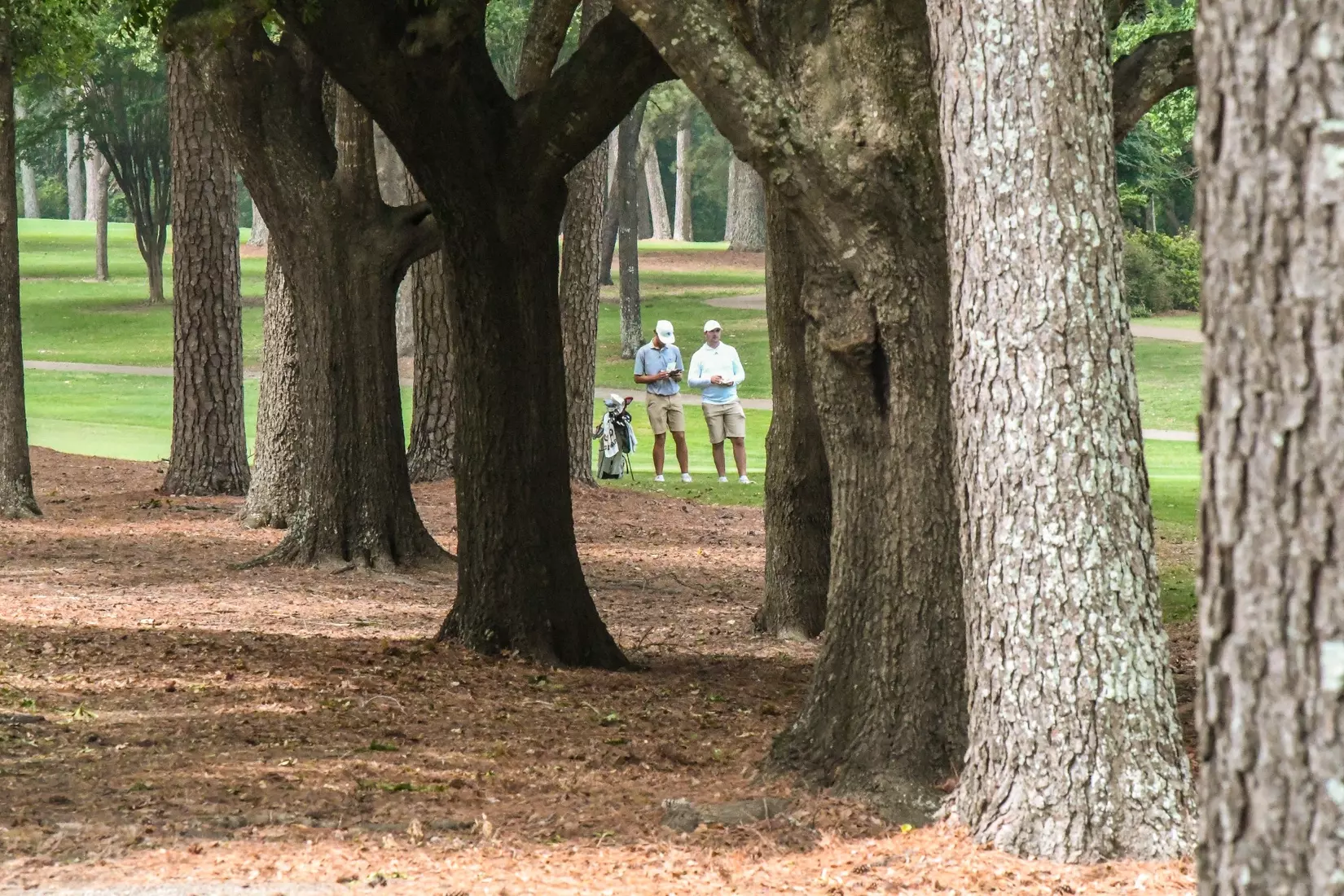 Bulldogs shoot eight over in round one of the 2026 Conference USA Men's Golf Championship on Monday at the Texarkana Country Club