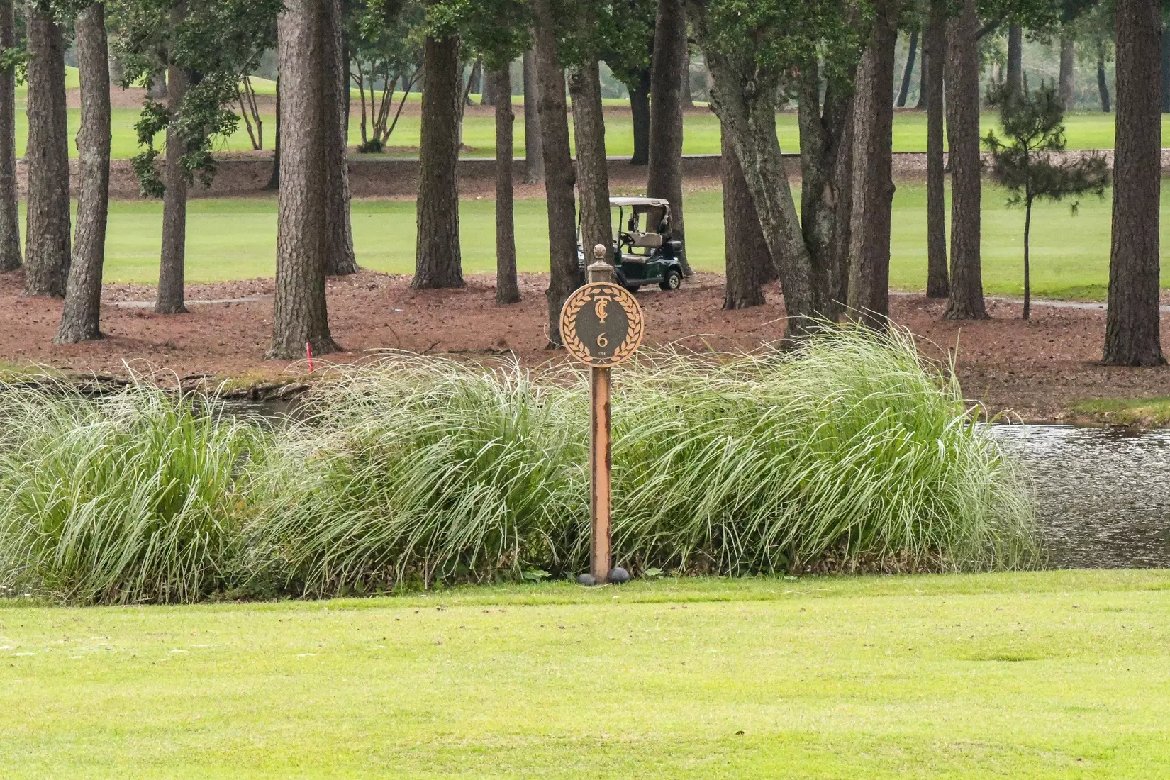 Bulldogs shoot eight over in round one of the 2026 Conference USA Men's Golf Championship on Monday at the Texarkana Country Club