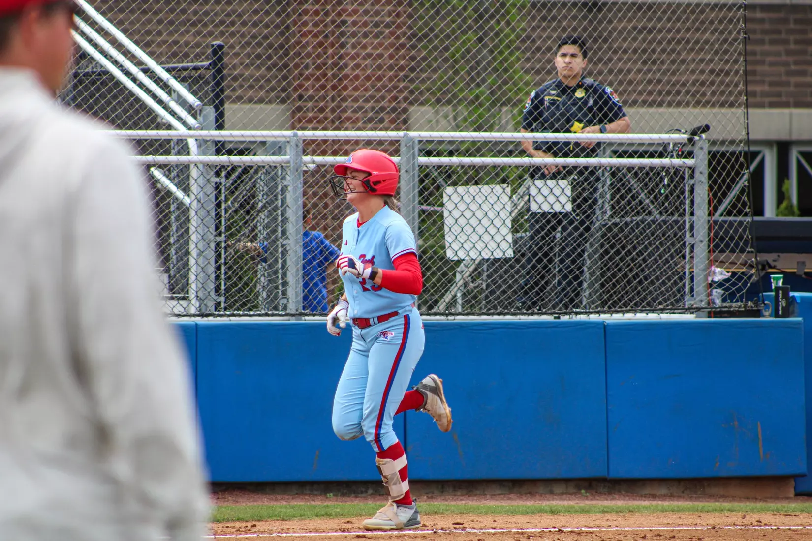Bulldogs fall in series finale.
