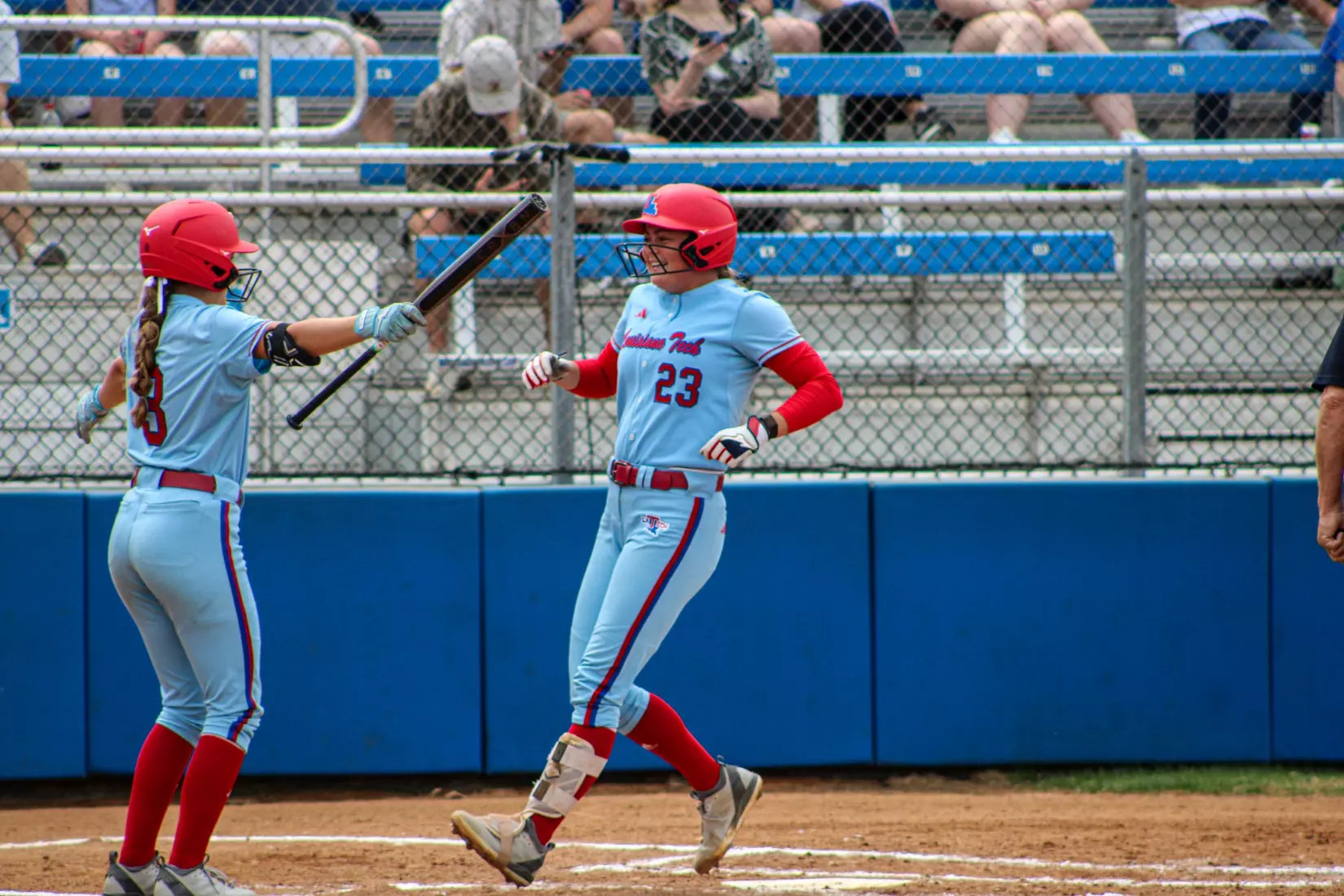 Bulldogs fall in series finale.