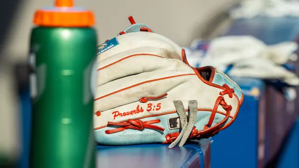 Baseball glove