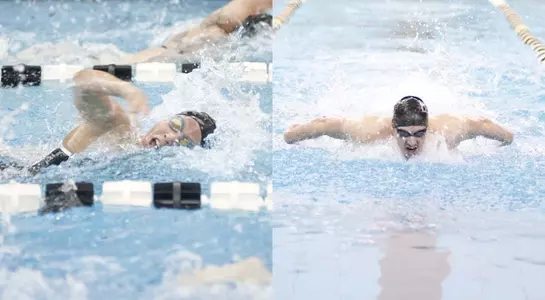 Yaszemski and Hoke combo