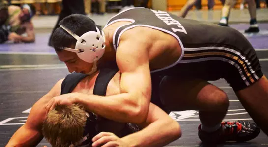 Minotti Midlands Quarters