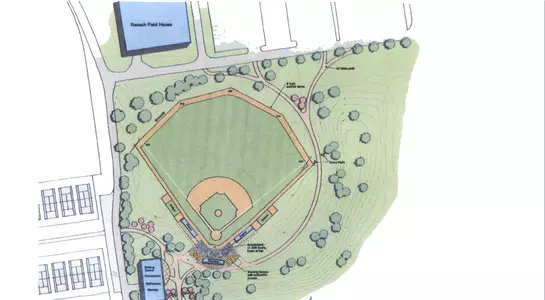Baseball Project Image