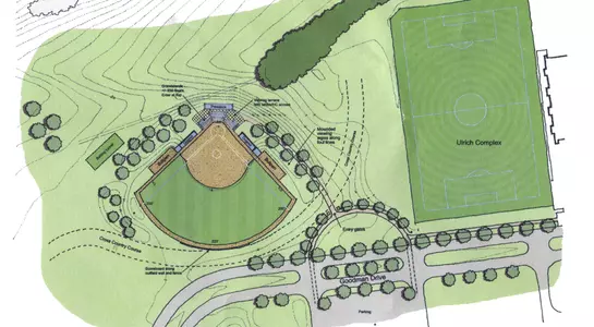 Softball Project Image