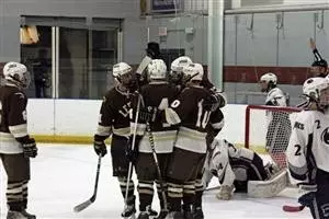 Ice_Hockey_Goal_Scored_2013