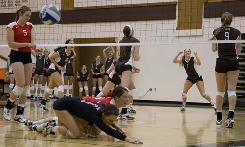 Volleyball Team Celebration