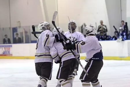 Ice Hockey Goal Celebration RI