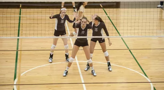 Morgan Lowe, Taylor Carroll, Steph Slater