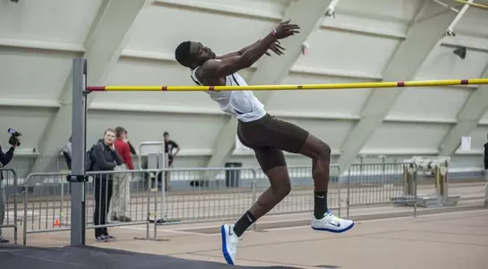 Adeolu Adesida