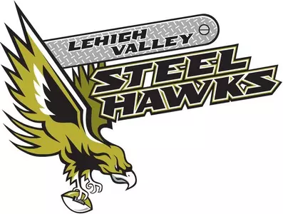 Steel Hawks Logo