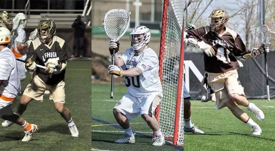 Telesco Poillon Taylor