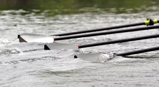 Rowing Oars