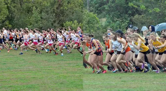 Paul Short starts 2015