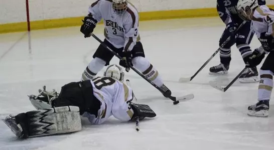 Ice Hockey Walgren Save