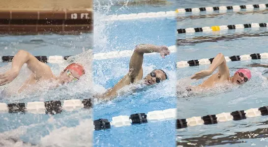 2015 nationals preview