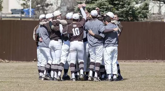 Baseball Team Huddle