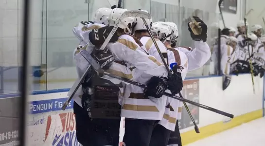 Ice Hockey Goal Celebration 2015