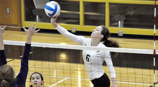 VB_Jennison_HC