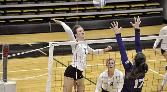 VB PL rookie Bright