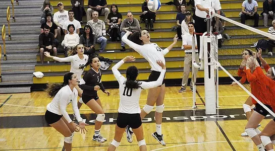 Volleyball vs American