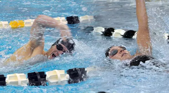 swim - Preview - Big Al