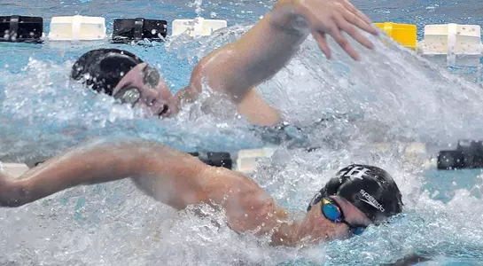 SWIm - Laf - Preview