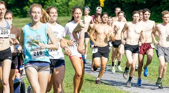 Steps4Stellar preview 2016