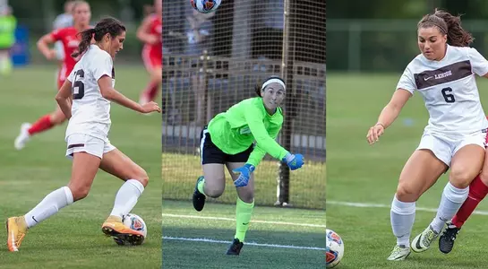 Vitello Pantaleo Miller