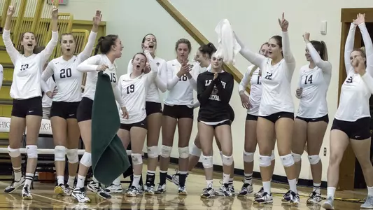 Volleyball bench celebration
