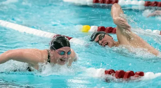 SWIM - PL Day 3 - Recap